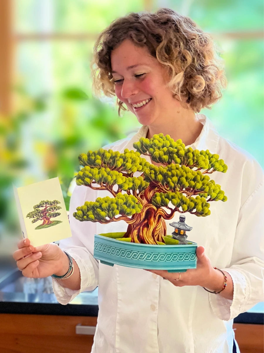 bonsai tree showpiece Wisdom Bonsai Pop-Up Houseplant