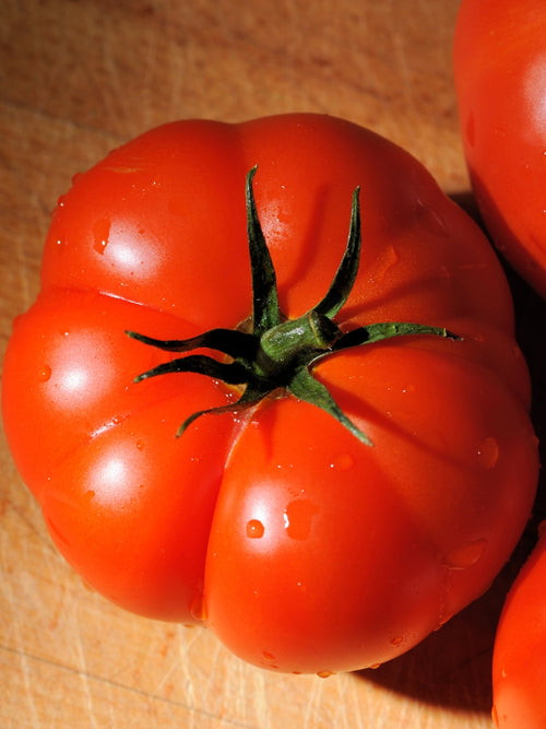 Organic Tomato 4" | Beefsteak Heirloom