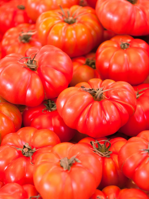Organic Tomato 4" | Brandywine