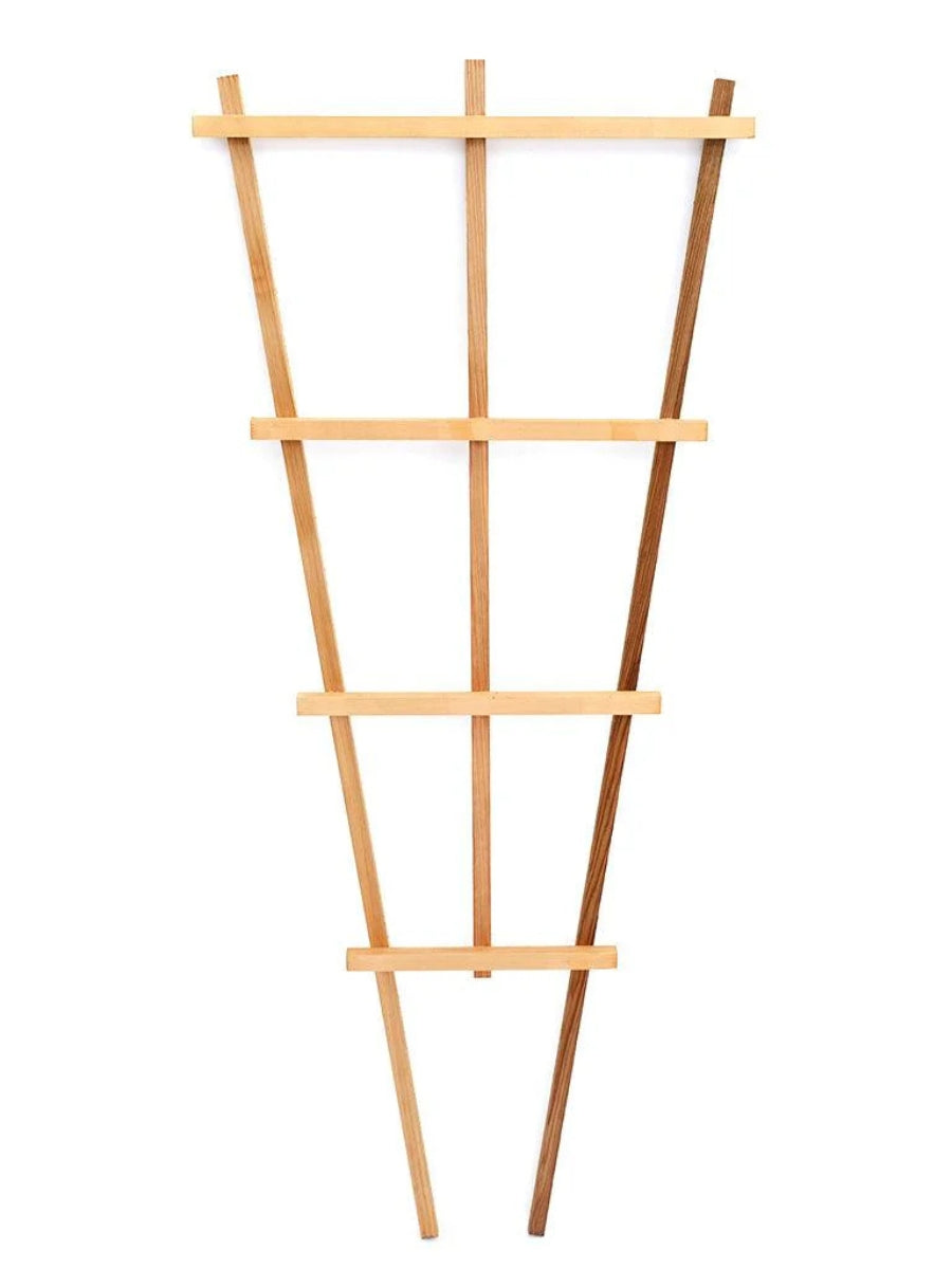 Fan Trellis 48''