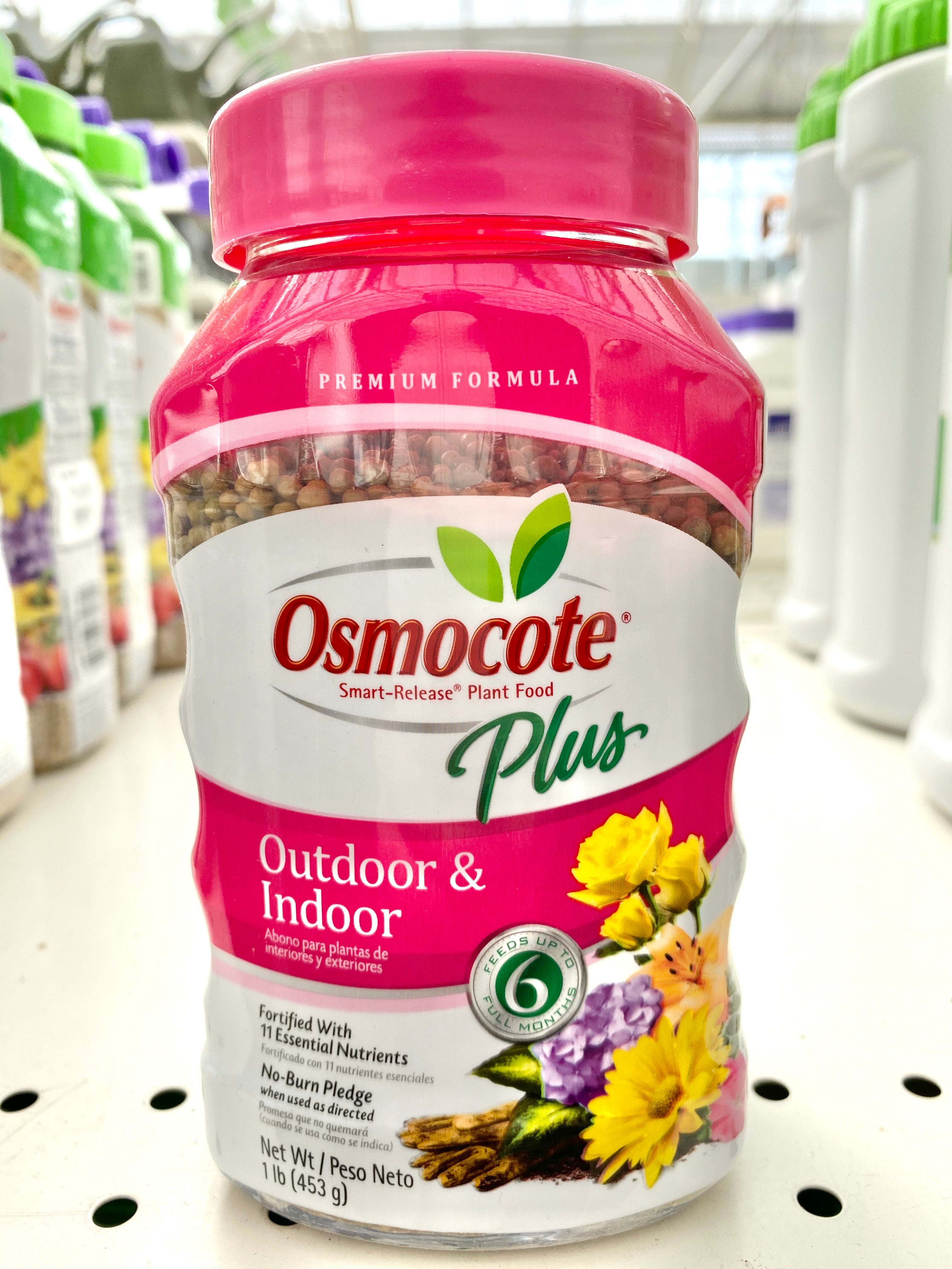 osmocote indoor outdoor plant food Osmocote Smart-Release Plant Food Plus Outdoor & Indoor 1 lb