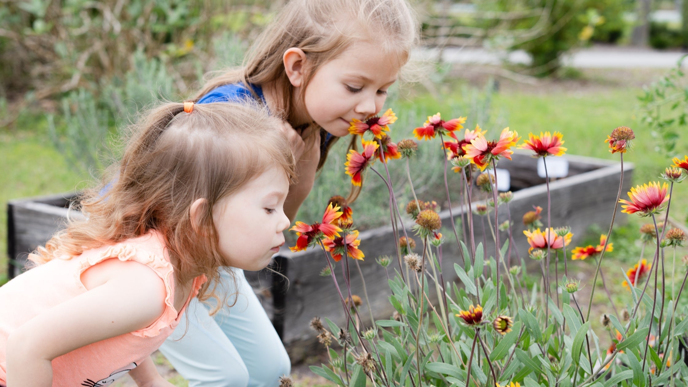 Become a Garden Detective: 3 Summer Pollinator Missions for Kids