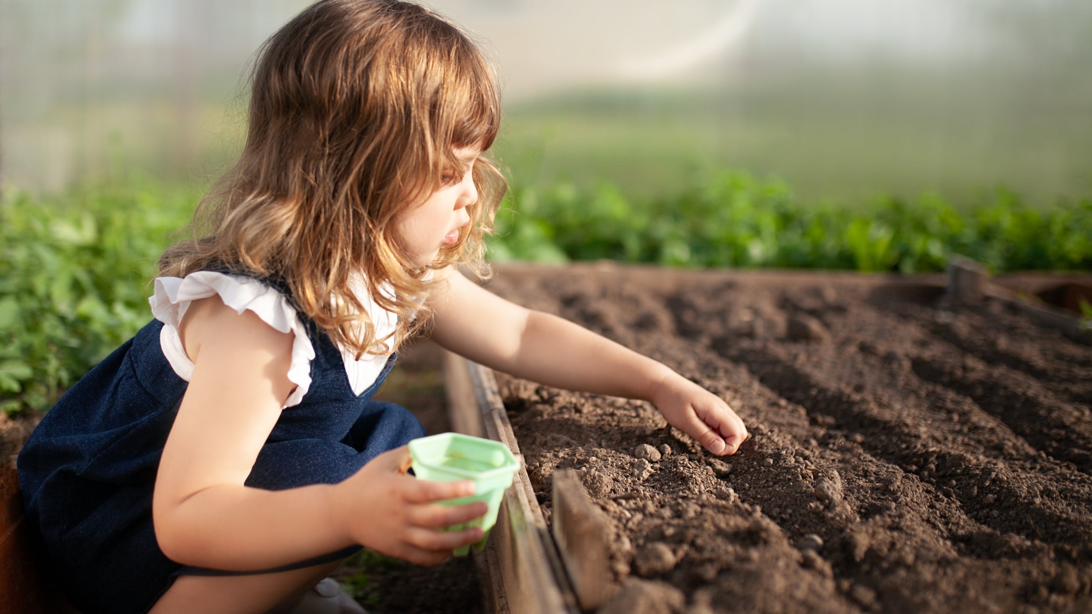 Planting for Pollinators: Quick-Start Flowers Kids Can Grow Right Now