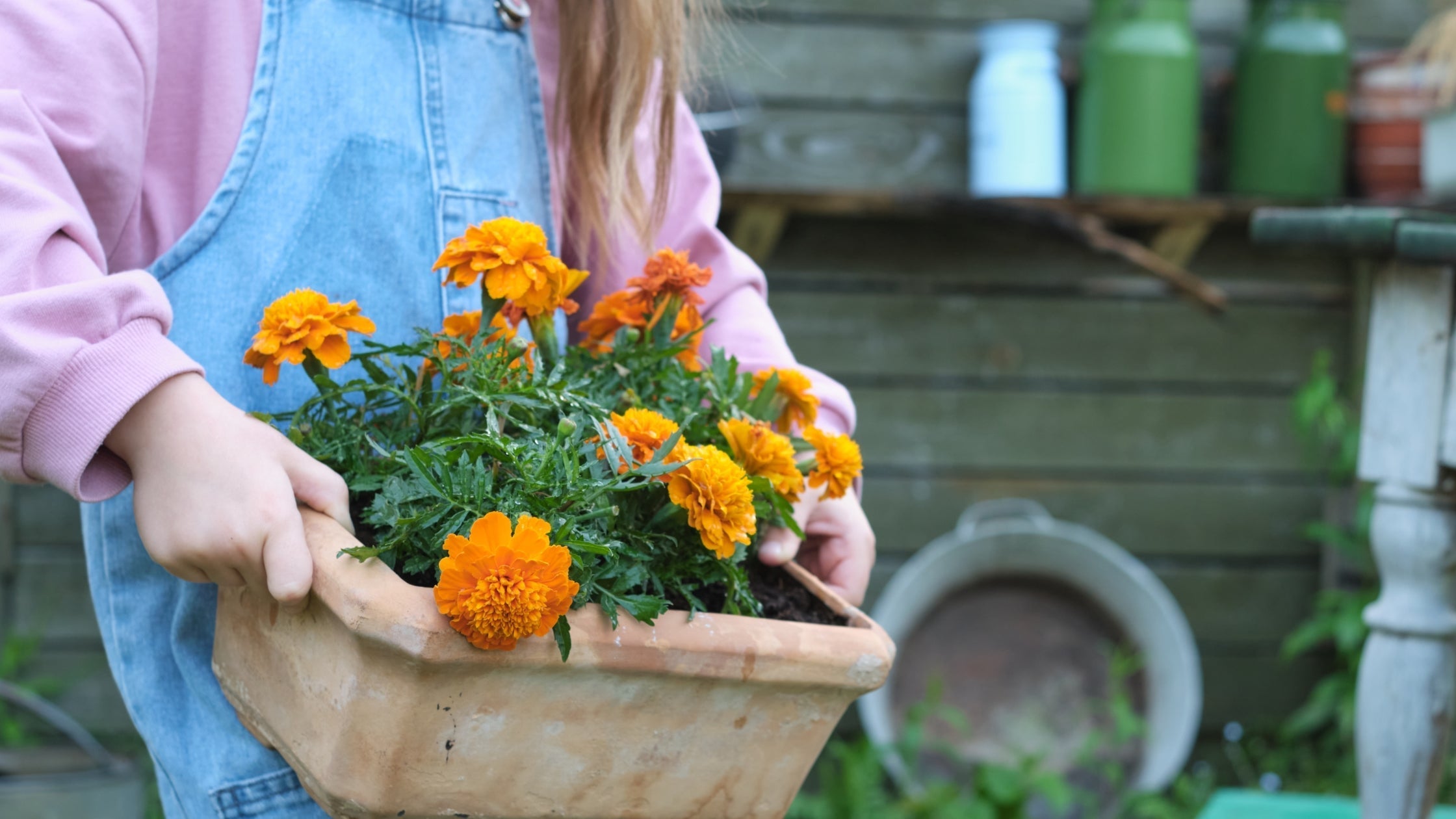 The Autumn Secret: Making Wildflower "Seed Bombs" for Next Spring’s Bees