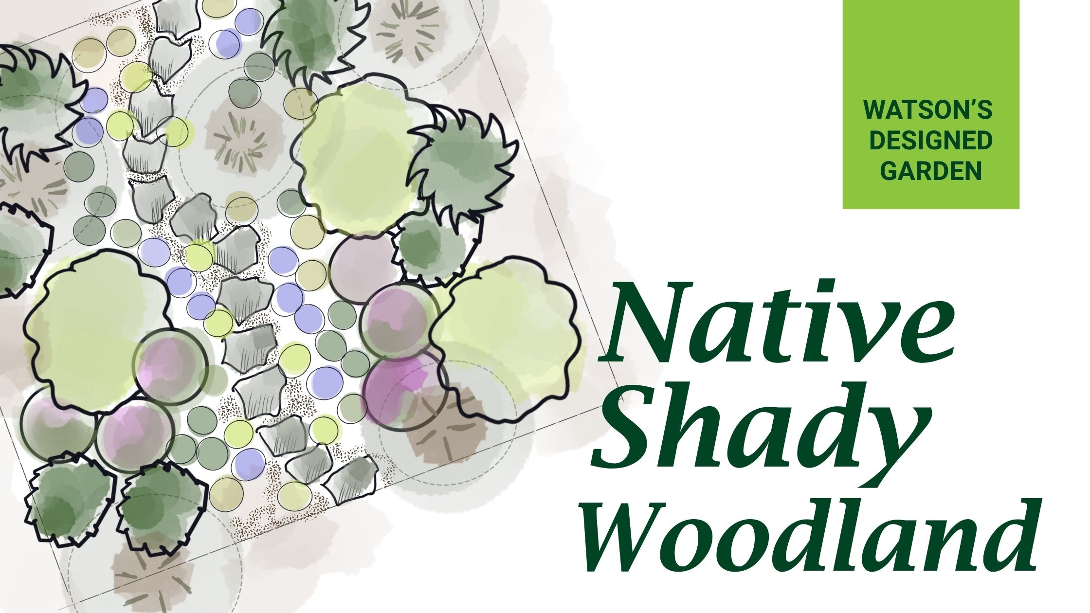 PNW Native Shady Woodland: Download this Garden Design