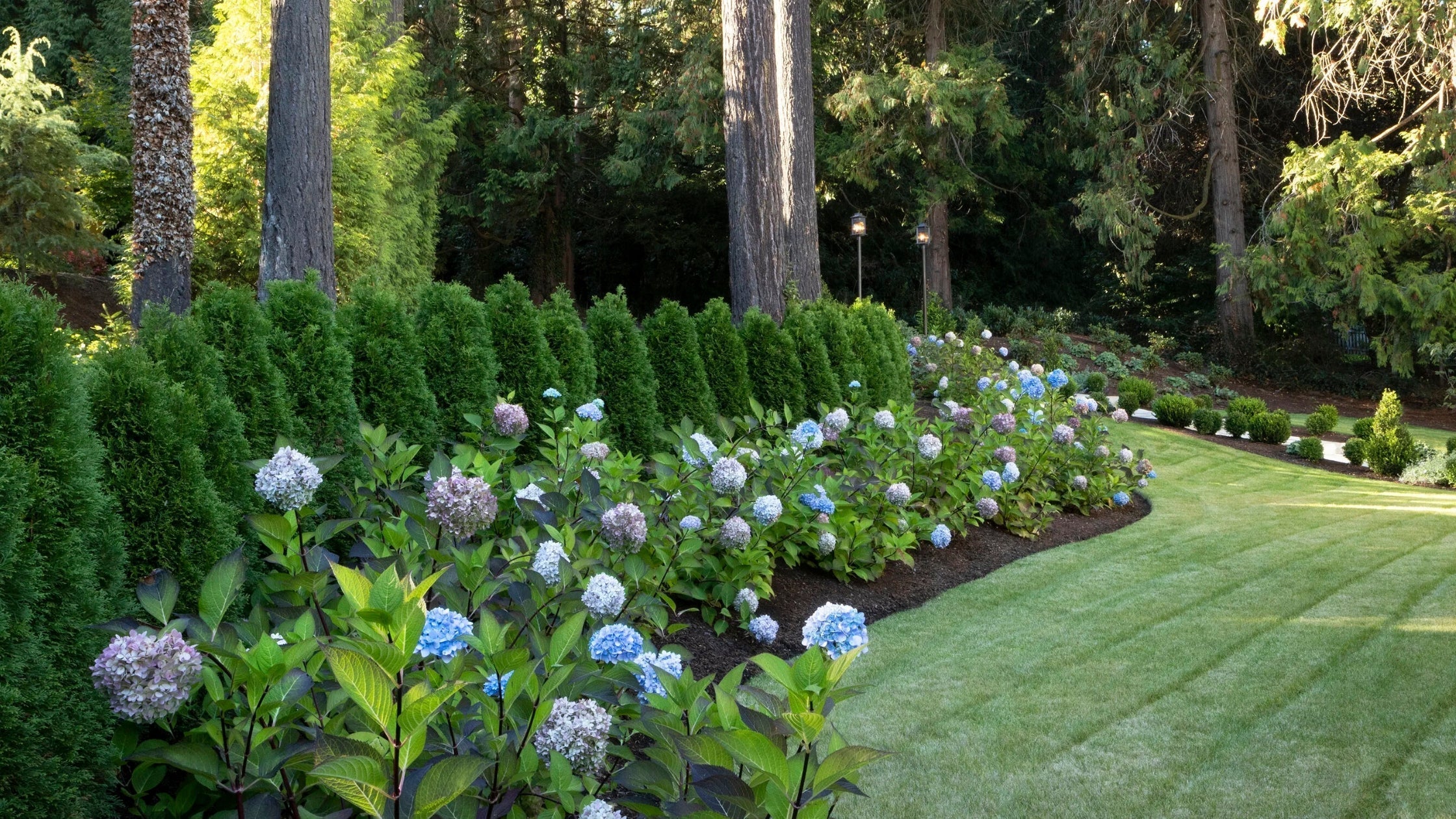 Build a Healthier Lawn from the Ground Up