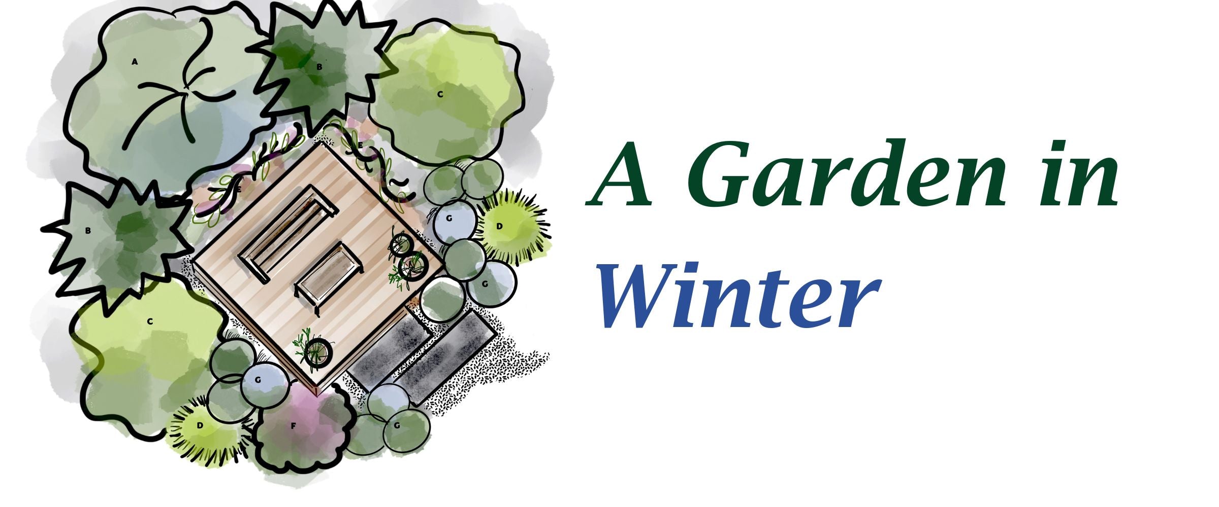 A Garden In Winter