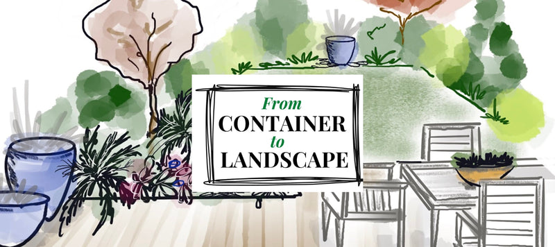 From Container to Landscape