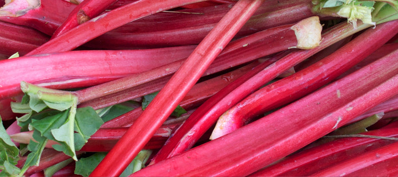 Your Guide to Growing and Harvesting Rhubarb