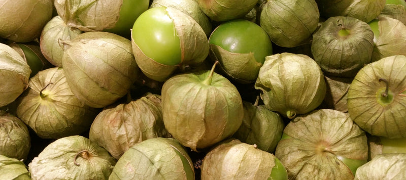 Your Guide to Growing Tomatillos in the PNW