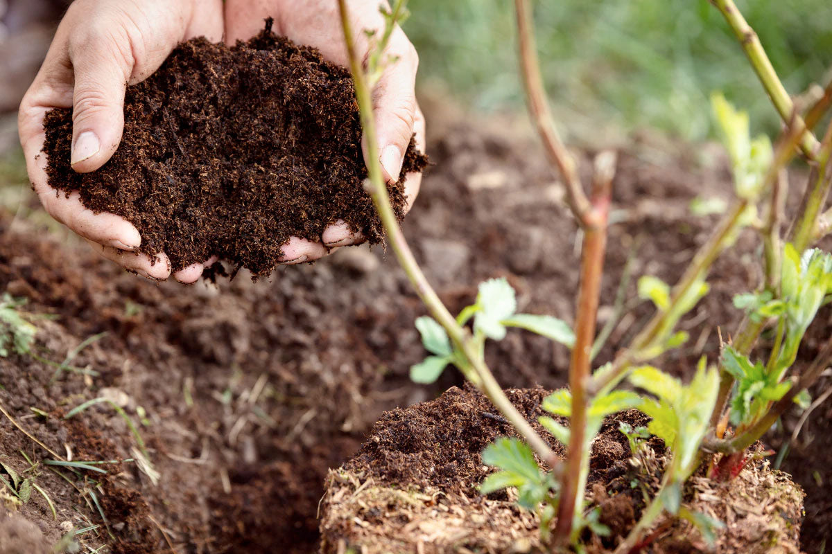 Soil Guide