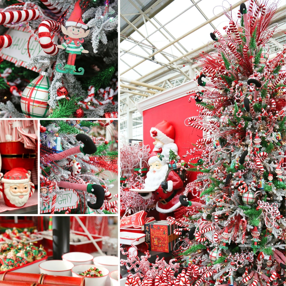 Santa - Naughty or Nice