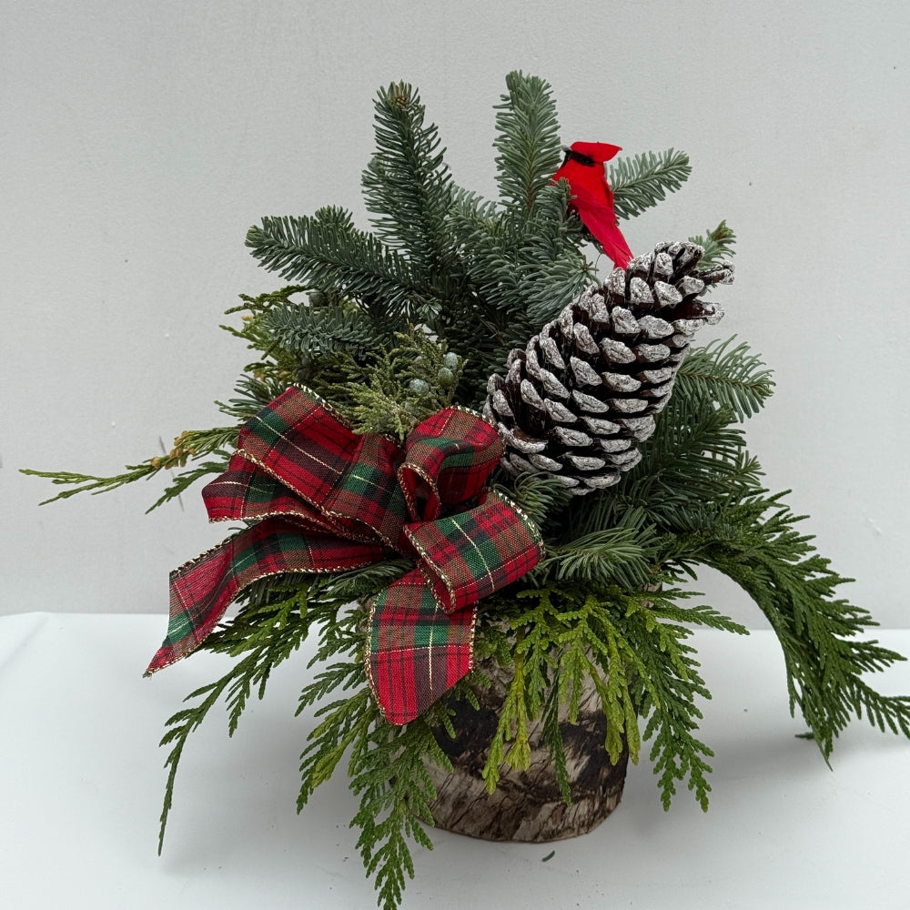 Watson's Original Designs