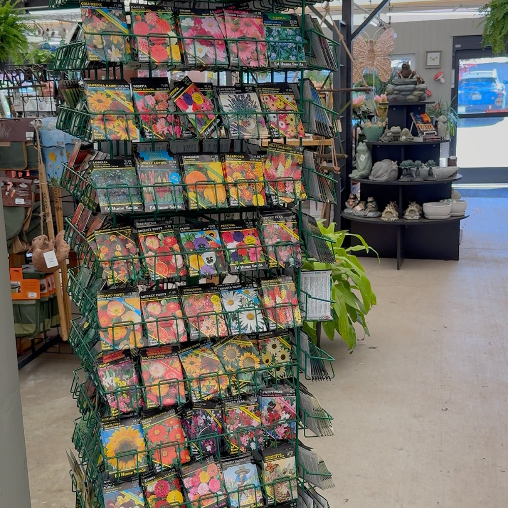 Watson's Greenhouse 