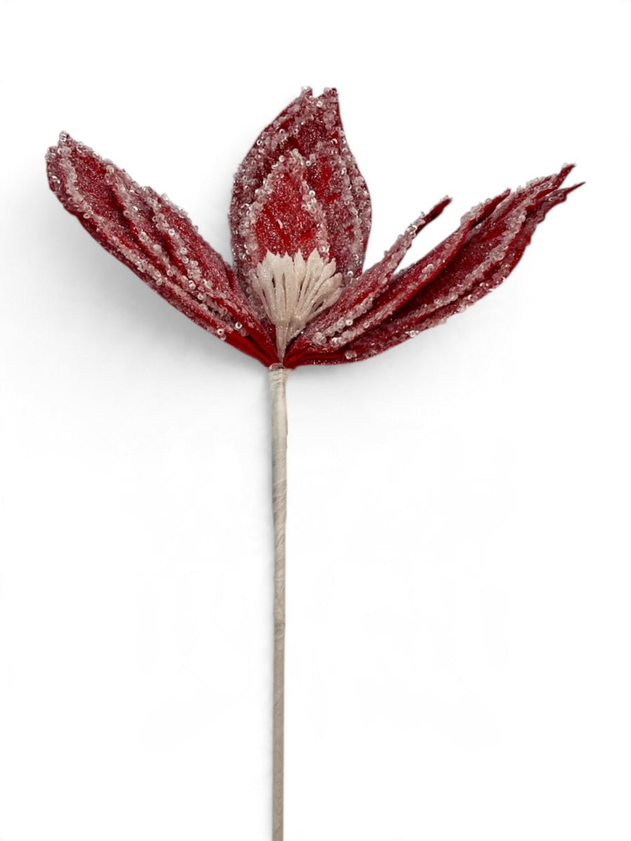 Red/White Iced Poinsettia Stem 22''