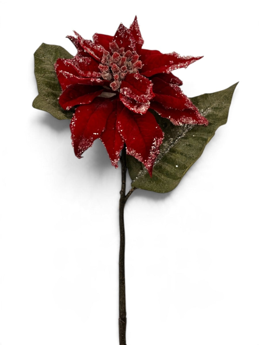 Red Iced Poinsettia Stem 24''