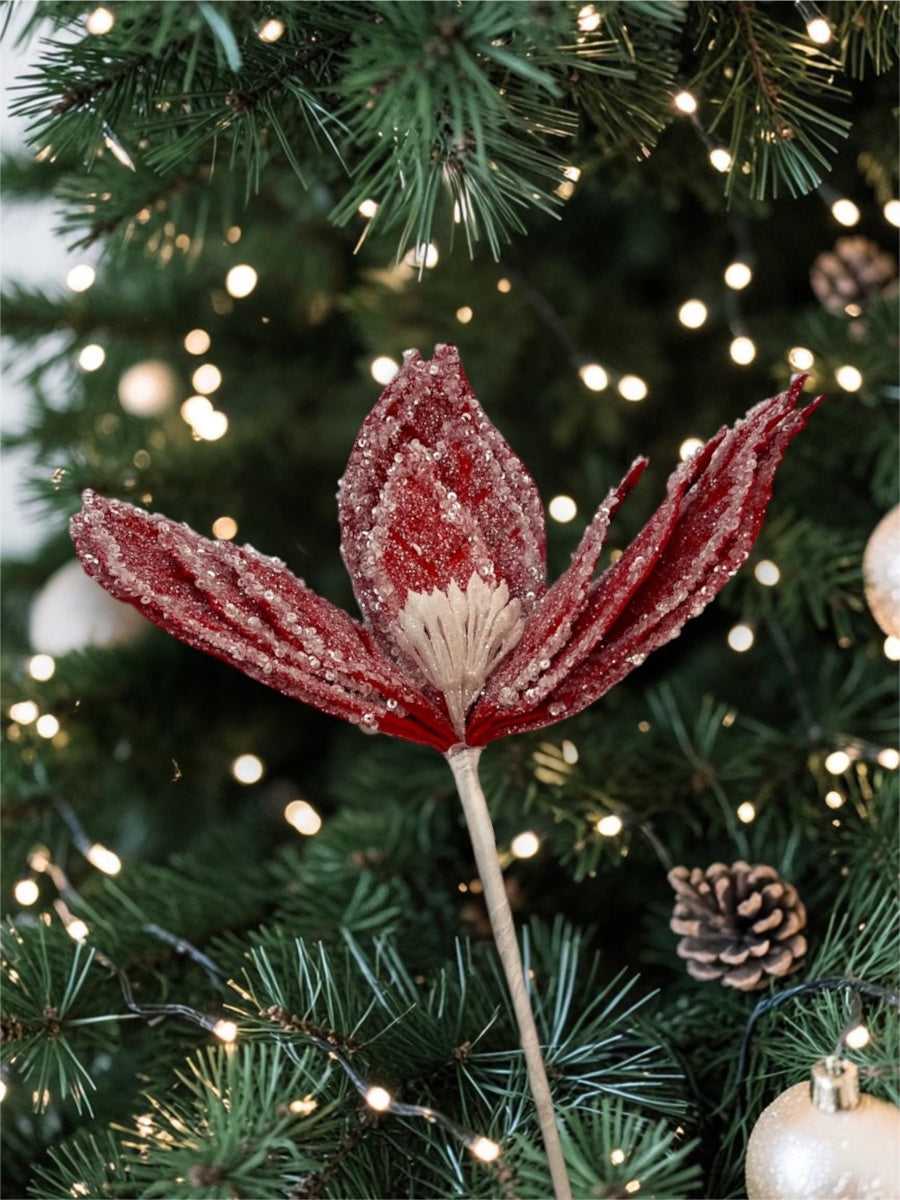 Red/White Iced Poinsettia Stem 22''