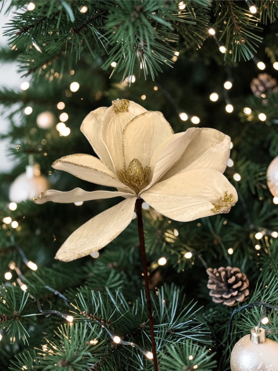 Magnolia Ivory Stem 22''