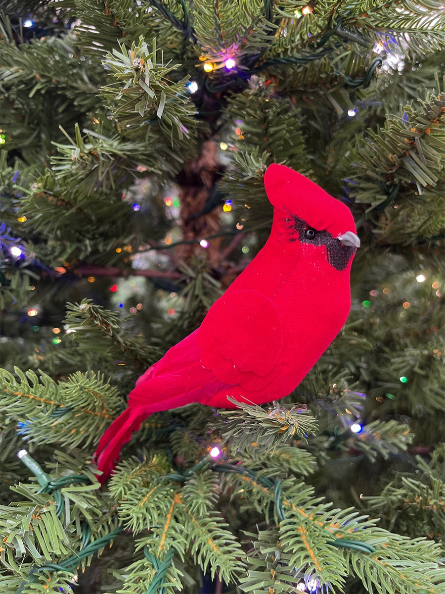 Red Cardinal w/ Clip Ornament