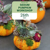 Bonsai Workshop for Beginners with Robert Cho, Puyallup, Sunday Oct 8th, 1pm - 3pm