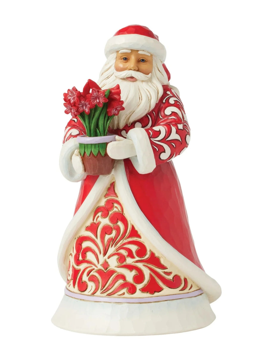 Santa w/ Blooming Amaryllis