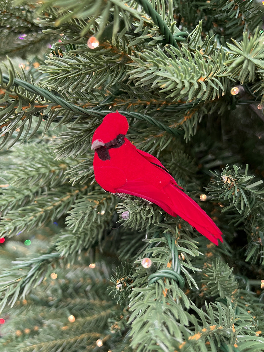 Red Cardinal w/ Clip Ornament