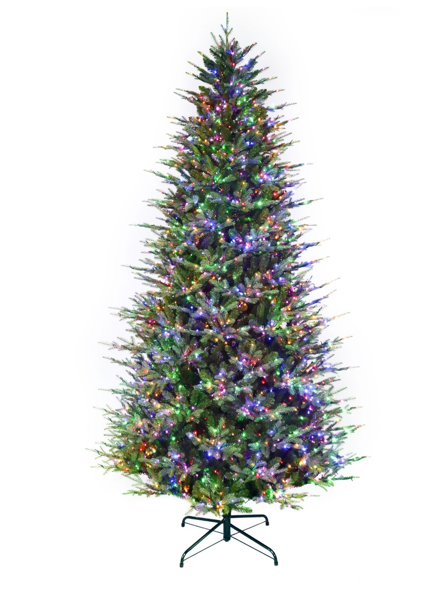 Kensington Fir 9'