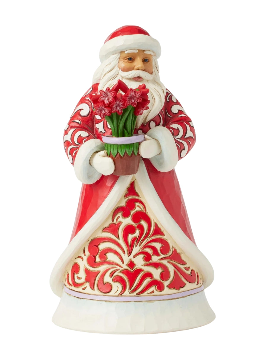 Santa w/ Blooming Amaryllis