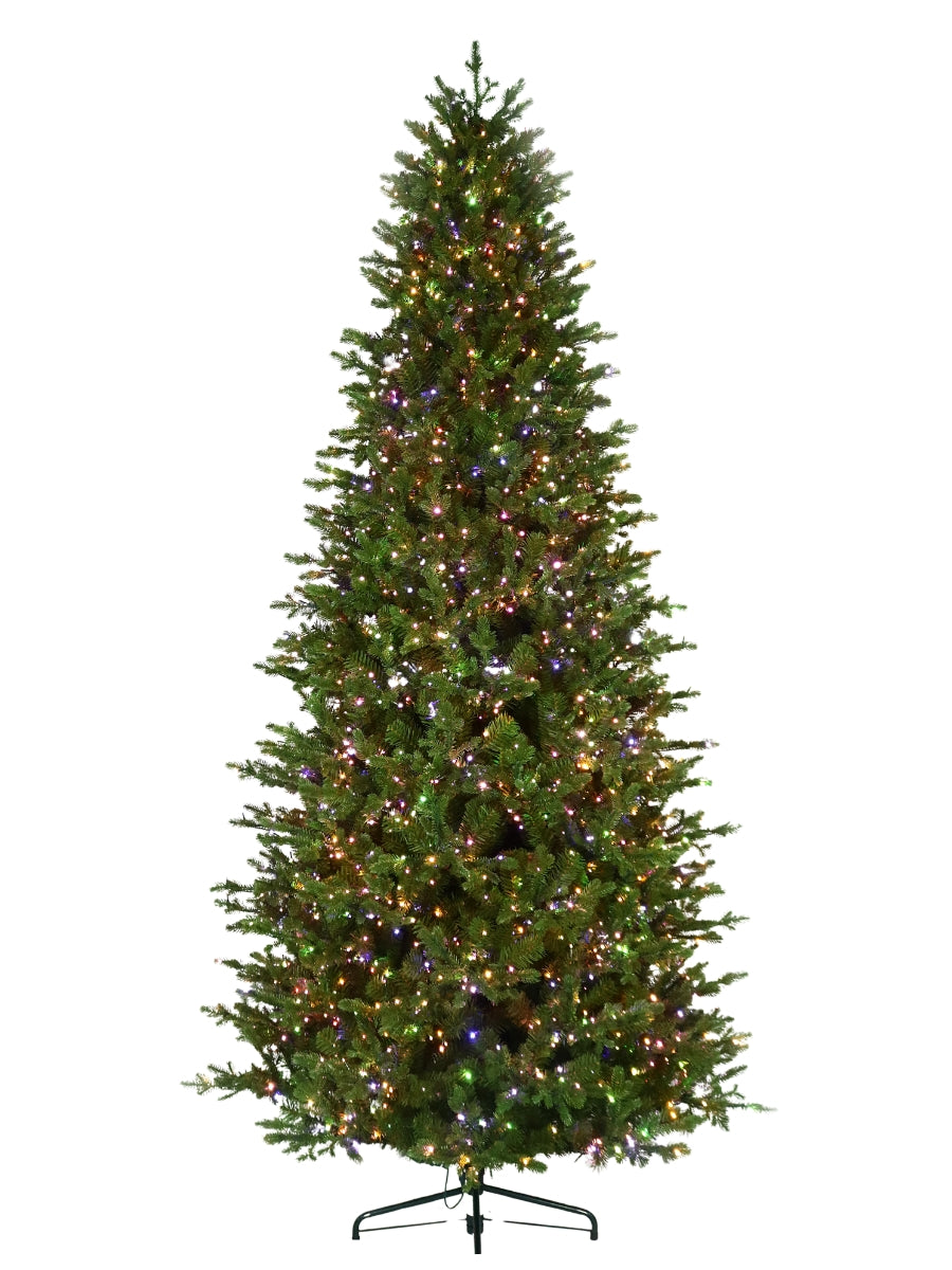 Noble Fir 9'