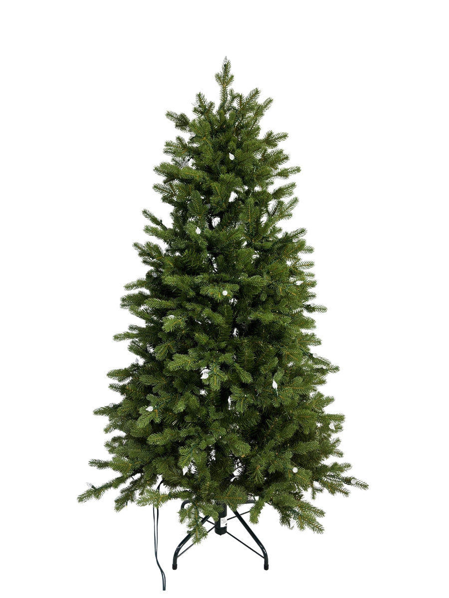 Noble Fir 5'