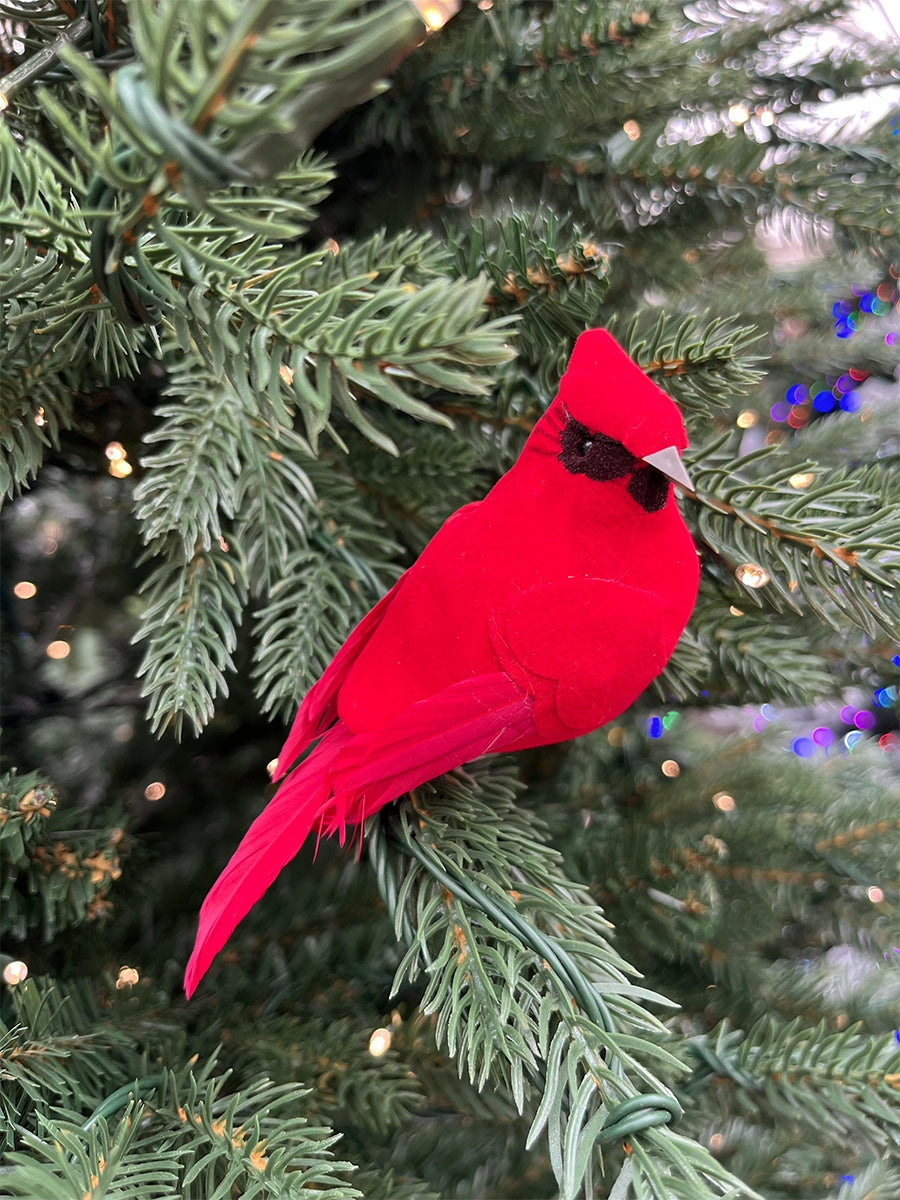 Red Cardinal w/ Clip Ornament