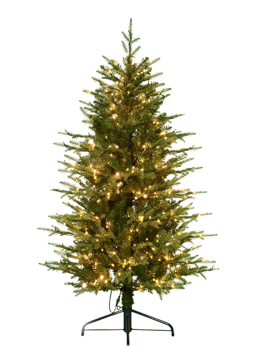Kensington Fir 5'