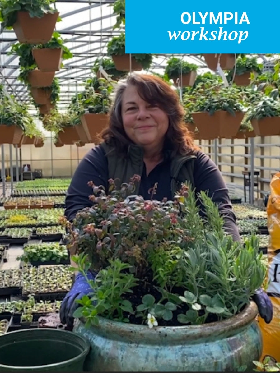 DIY Garden Design Workshop, Olympia, 2 PM, Saturday, September 19th