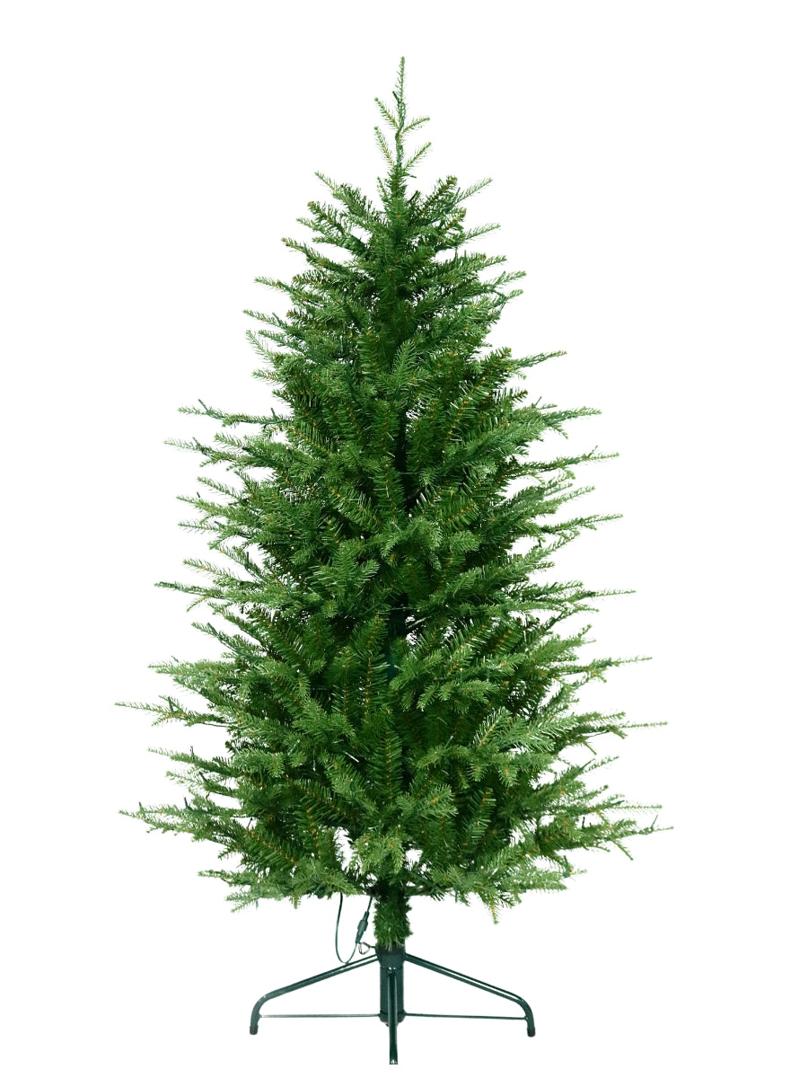 Kensington Fir 5'