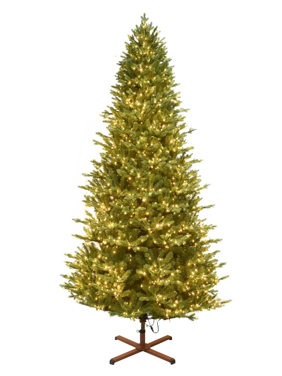 Balsam Fir 9'