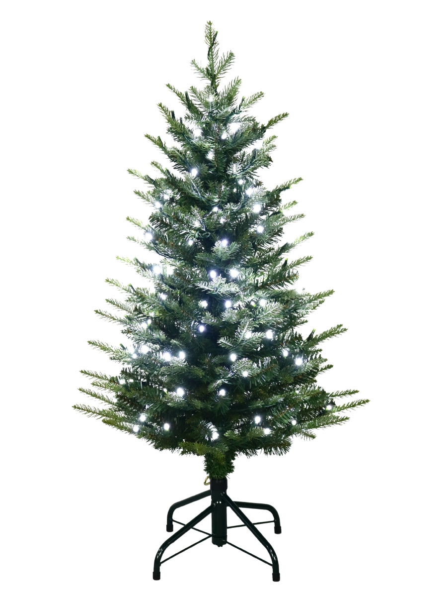 Kensington Fir 3.5'