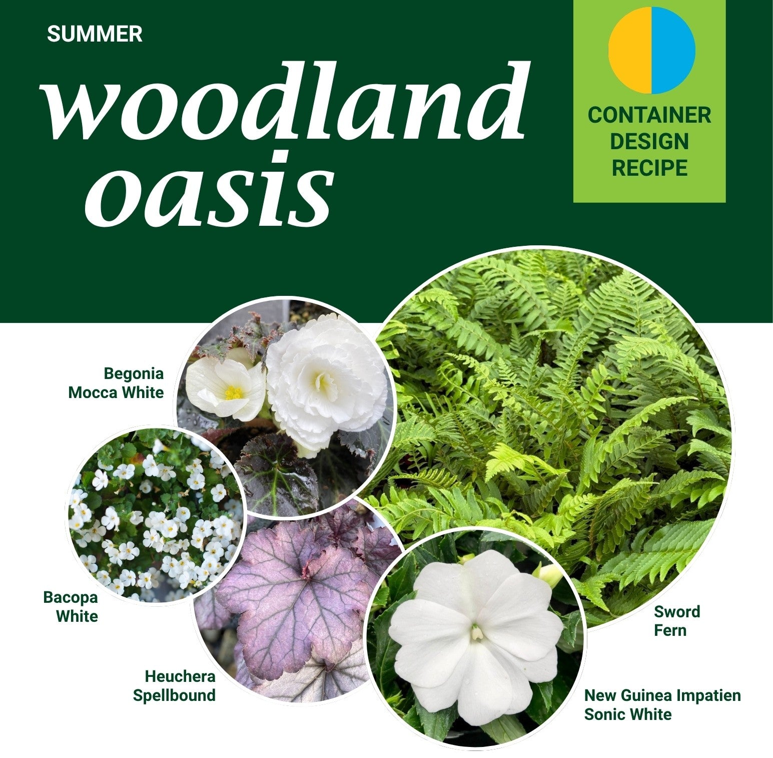 Container Recipes – Watson's Greenhouse