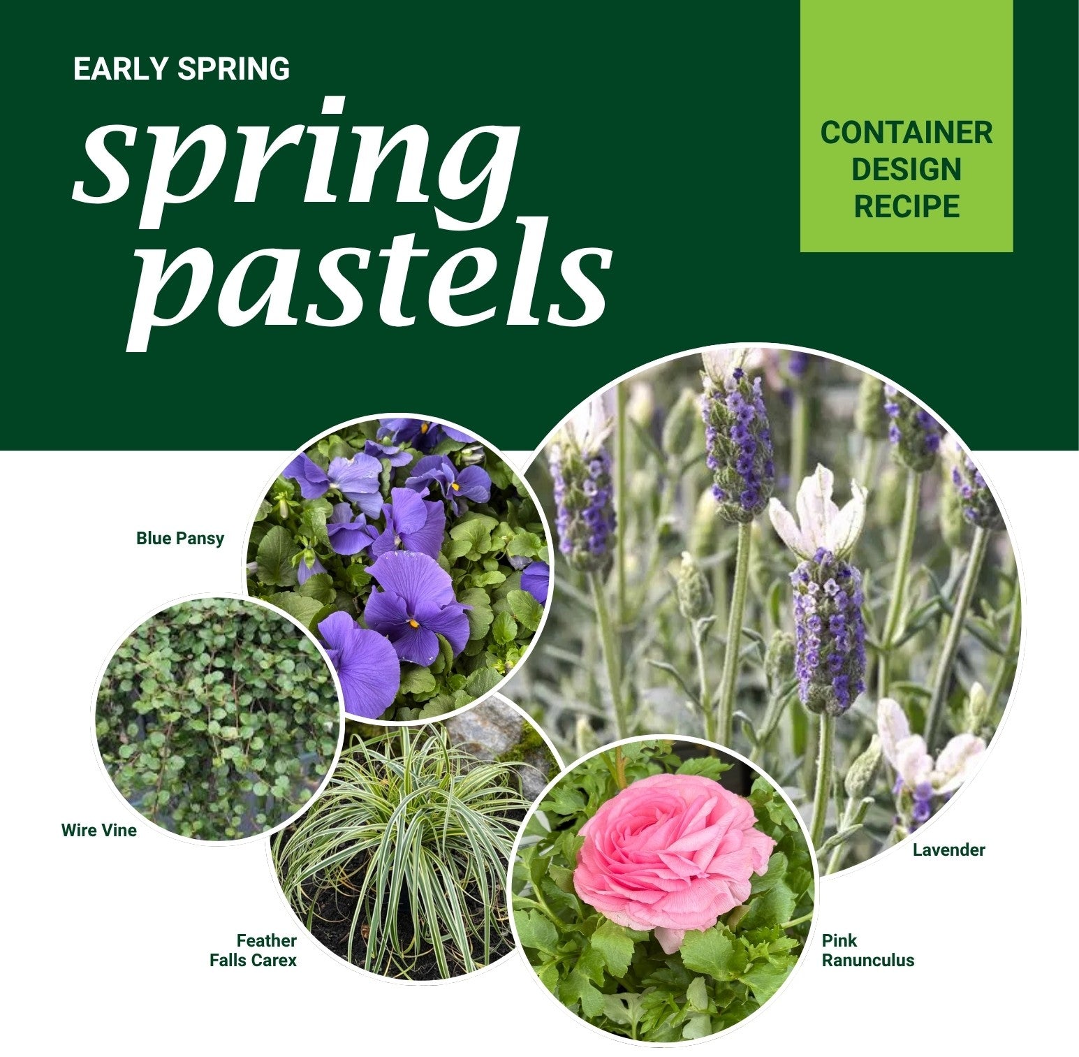Container Recipes – Watson's Greenhouse