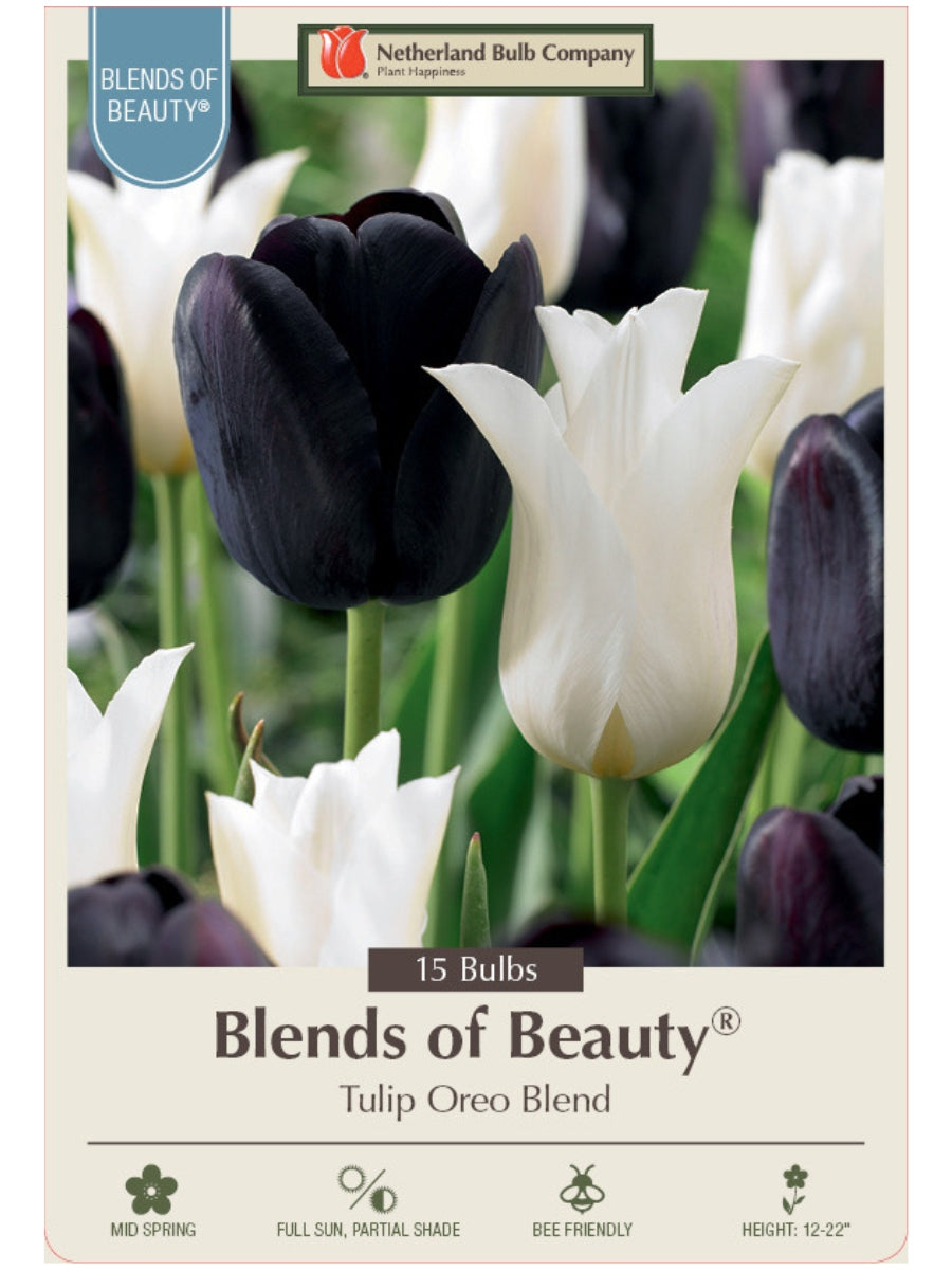 Tulip 'Oreo Blend' - Mixed Bulb Pack