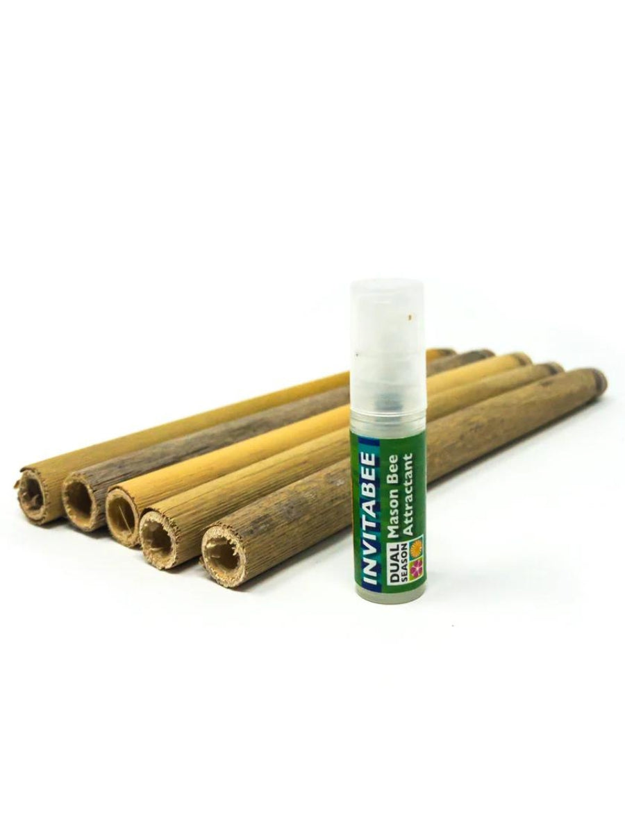 InvitaBee Mason Bee Attractant