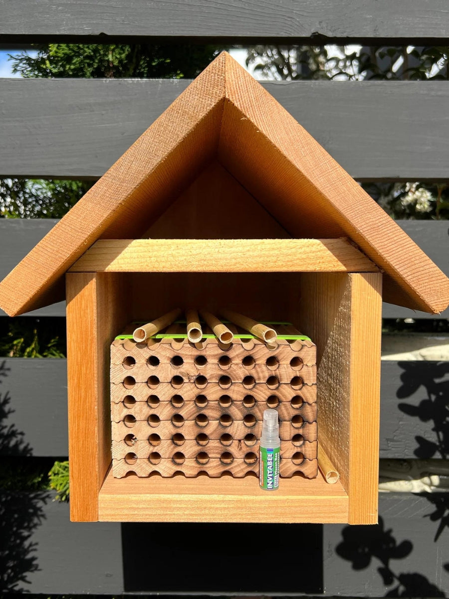 InvitaBee Mason Bee Attractant