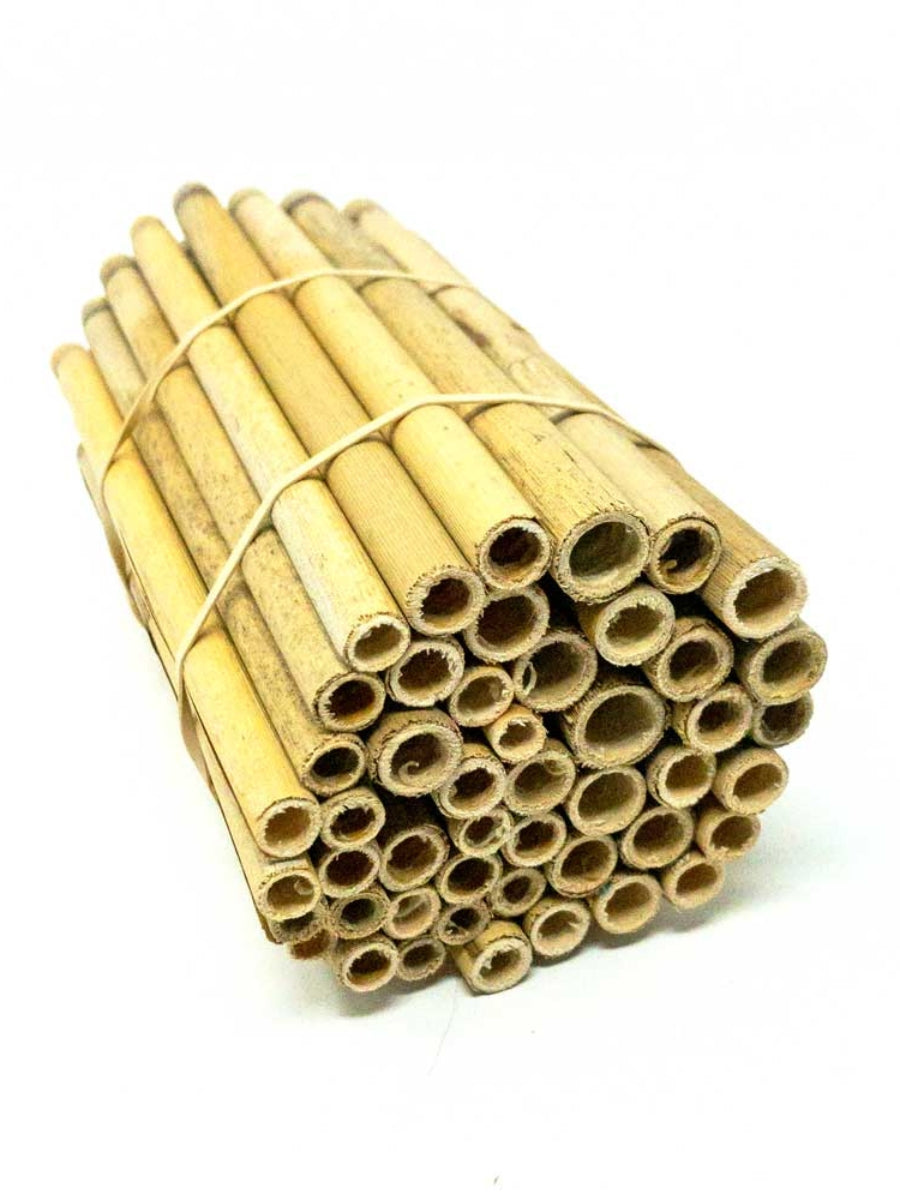 Natural Reeds for Mason Bees - 8mm