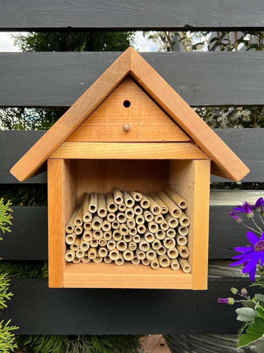 Natural Reeds for Mason Bees - 8mm