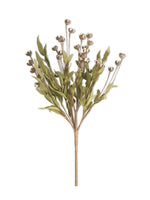 Cream Bud Bush Pick