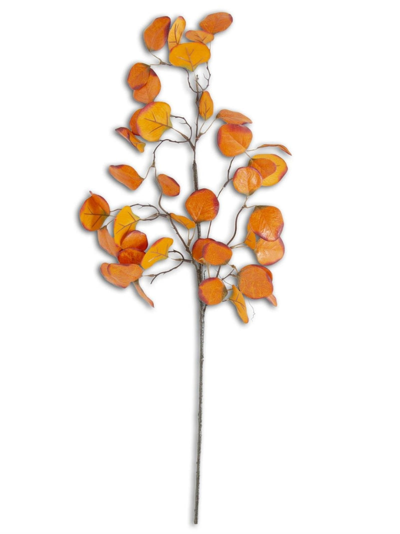 Orange Eucalyptus Stem Pick