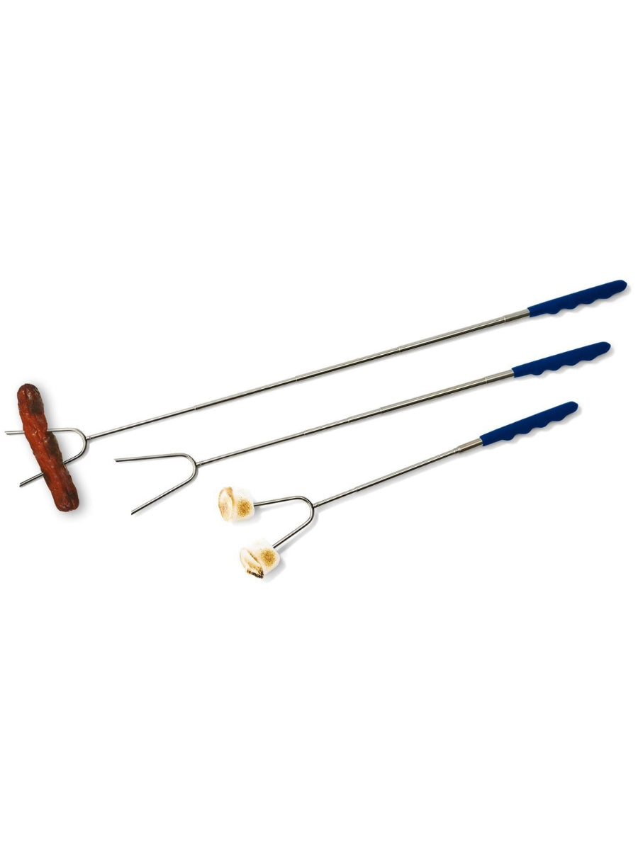 Extendable Roasting Tool