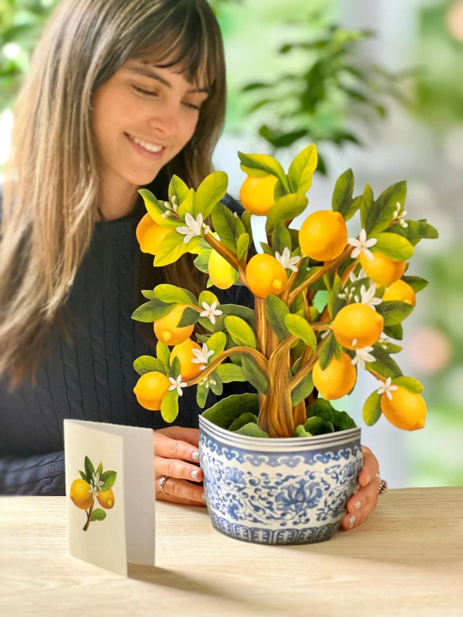 Lemon Blossom Tree Pop-Up Houseplant Card