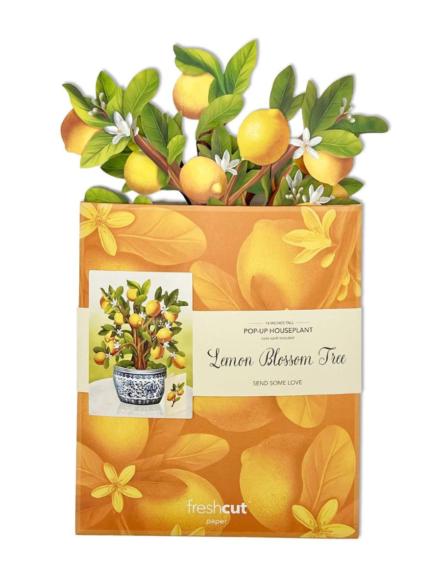 Lemon Blossom Tree Pop-Up Houseplant Card