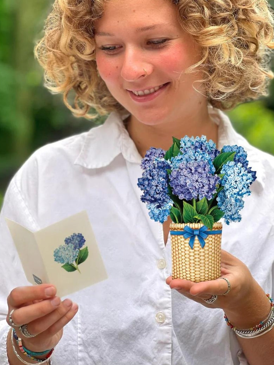 Mini Nantucket Hydrangeas Pop-Up Flower Bouquet