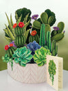 Cactus Garden Pop-Up Botanicals